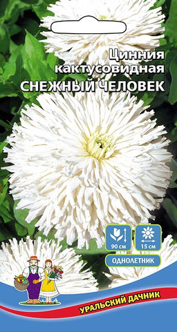 Цинния СНЕЖНЫЙ ЧЕЛОВЕК кактусовидная