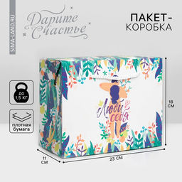 Цена за 2 шт. Пакет—коробка «Будь собой», 23 х 18 х 11 см