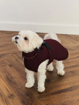 джемпер (попона) для животных / Zarina фото 4