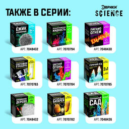 Набор для опытов Магнетизм - Эврики фото 9