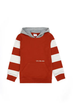 Детская толстовка с капюшоном и плиткой - U.s. polo assn фото 4