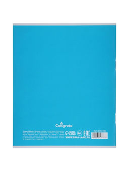 Комплект тетрадей из 4 штук, 48 листов в линейку «Дикие кошки», серые листы