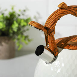 Чайник со свистком из нержавеющей стали Magistro Heat, 3 л, ТРС, индукция, ручка soft-touch, цвет белый