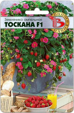 Земляника ампельная Тоскана F1