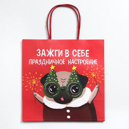 Пакет подарочный новогодний «Зажги в себе», 22 х 22 х 11 см