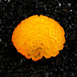 Декор для аквариума коралл Faviidae, 5 х 2,5 см, силиконовый, оранжевый - Simaland фото 3