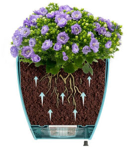 Горшок для цветов ДЕКО ТВИН 2,5л, цвет Нефрит (ДЕК 2,5 НЕФ) - Крассула фото 7