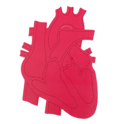 Набор для опытов Моё тело, сердце - Эврики фото 4