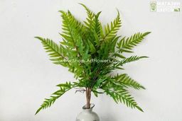 135	Папоротник 4 - Без тм фото 2