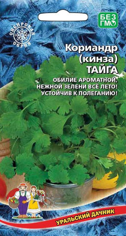 Кориандр (Кинза) ТАЙГА  Обилие ароматной, нежной зелени всё лето! Устойчив к полеганию!