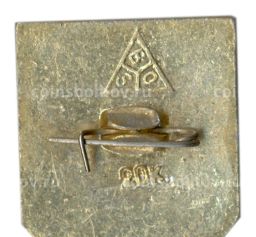 Значок Владимир