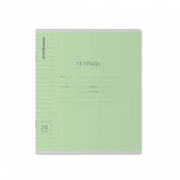 Цена за 160 шт. Тетрадь школьная ученическая ErichKrause Классика Visio ассорти, 24 листа, линейка (в плёнке по 10 шт.) фото 32