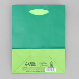 Цена за 2 шт. Пакет подарочный двухцветный, упаковка, «Зеленый-салатовый», S 12 х 15 х 5.5 см