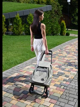 Тележка хозяйственная на колёсах СХ2 - Nika фото 10