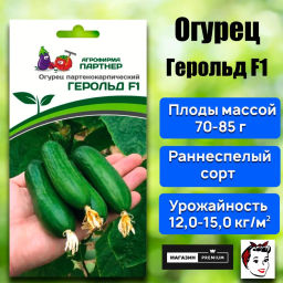 Огурец партенокарпический Герольд