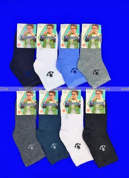 Цена за 12 пар. БЕРЕЗА носки детские Машинки 15-20 ( длина стопы носка 13-14 см)  фото 8