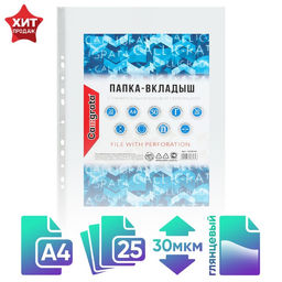 Цена за 2 шт. Файл - вкладыш Calligrata, А4, 30 мкм, глянцевый, вертикальный, 25 штук