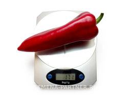 Перец сладкий Самандер - Партнер фото 6