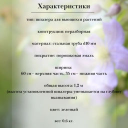 Шпалера ТРАПЕЦИЯ 1,2м (выс. 1,2,м, шир. 0,35-0,6м) ст.тр. 10мм - Ооо оазис фото 3