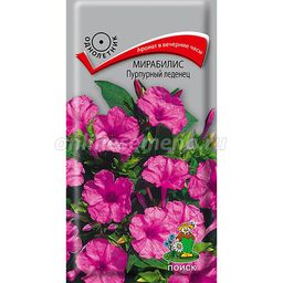 Мирабилис (ялапа) Пурпурный леденец (ЦВ) (1) 1гр.