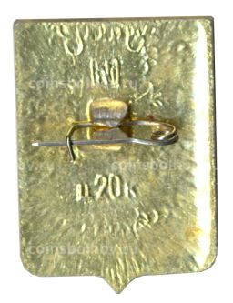 Значок Кологрив