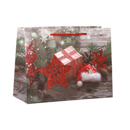 Цена за 12 шт. Пакет подарочный 18х24х8.5 / 362-61-S /уп 12/720/Новый год - ГалеонТрейд фото 9