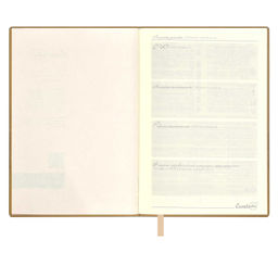 Ежедневник недатированный ESCALADA, А6+, 160 л., арт. 64220/ 20 КРОКО МЕТАЛЛИК ЗОЛОТОЙ  фото 4