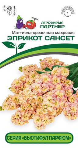 3327P Маттиола срезочная махровая "Бьютифул Парфюм" ЭПРИКОТ САНСЕТ 10шт