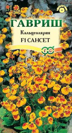 Кальцеолярия Сансет F1 5 шт (г)