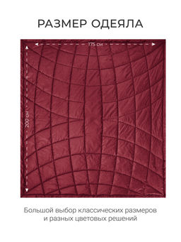 Одеяло "Cloud Cool Wine" 175х200см всесезонное 200г/м2 ЕС-7067