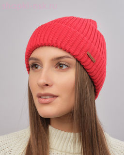 44903 Колпак (57)