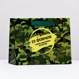 Пакет ламинированный горизонтальный Мужской праздник, 23 х 18 х 10 см