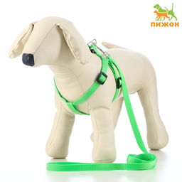 Комплект Базис, поводок 120 х 1,5 см, ОГ 32-46 см, зелёный