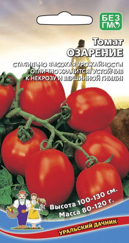 Томат ОЗАРЕНИЕ Отлично хранится и перевозится с дачи в квартиру! Устойчив к некрозу и вершинной гнили!