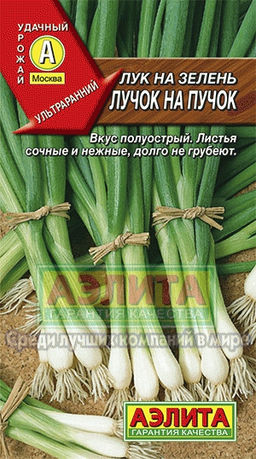 Лук на зелень Лучок на пучок 0,5г (Аэлита)