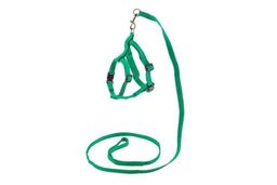 Шлейка+поводок Редпл. капрон.SPORT пов.10мм*1,2м 041110зелен