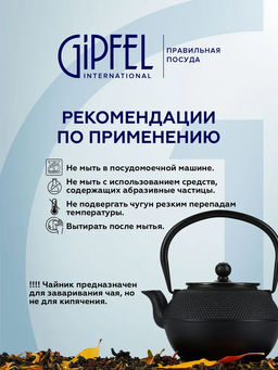 7039 GIPFEL Чайник чугунный NAGOYA тэцубин 1100мл с фильтром из нержавеющей стали 18/10. Материал: чугун, нержавеющая сталь 18/10. Цвет: черный