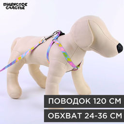 Комплект Листья, шлейка 24-36 см, поводок 120х1 см