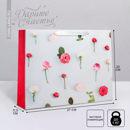 Цена за 2 шт. Пакет подарочный ламинированный, упаковка, «Ты прекрасна», ML 23 х 27 х 11.5 см