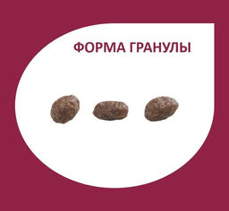 Скидка 50%!!! Гранплюс сухой корм для взрослых собак мелких пород лосось и цыпленок 10,1 кг - Granplus фото 5