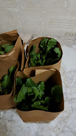 Ромашка садовая