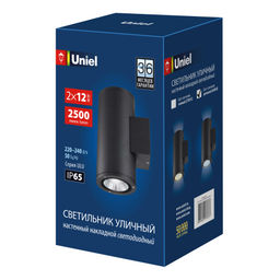 ULU-S22D-2x12W/6400K IP65 BLACK Светильник светодиодный уличный. Архитектурный накладной. Дневной свет (6400K). Корпус черный. TM Uniel