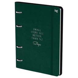 Тетрадь 120л. на кольцах "Моно. Зеленый", сменный блок (N4r120 59499, "BG") обложка иск. кожа