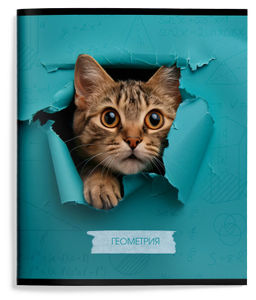 Цена за 2 шт. Тетрадь 48 л. А5 клетка, на скрепке, Schoolformat ЛЮБОПЫТНЫЙ КОТИК Геометрия мелованный ка...