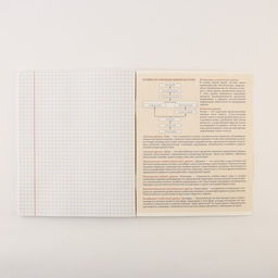 Тетради предметные, 48 л., А5, набор из 3 шт. КОТэ - Artfox study фото 5