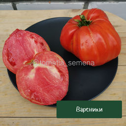 Вареники - Tomatia фото 2