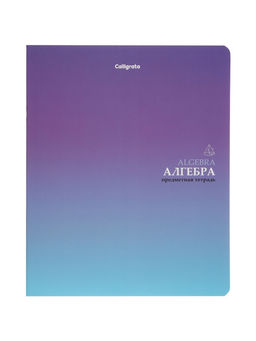 Комплект 12 предметных тетрадей «Градиент», 48 листов, справочная информация, 60 г