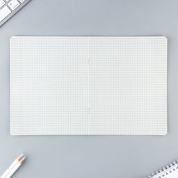 Цена за 20 шт. Тетрадь в клетку, 12 листов, А5, на скрепке, блок №2«Тока для тебя» МИКС