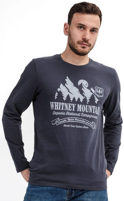 Лонгслив мужской с принтом F111-1001-332 темно-серый - Fine joyce фото 6