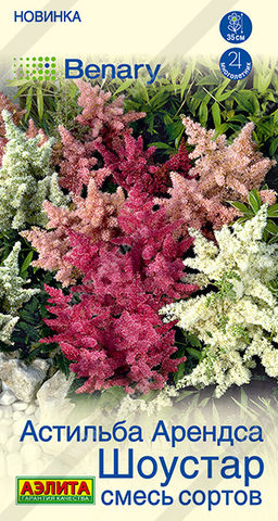 1993A Астильба Шоустар, смесь сортов 5шт